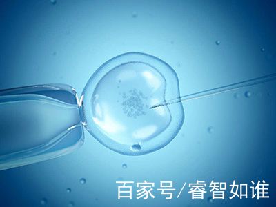 有偿同志供卵咨询怎么找